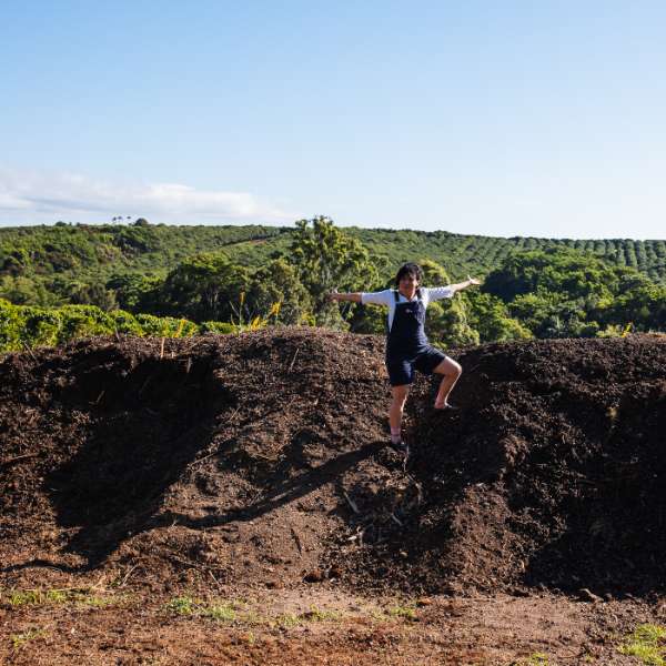 Cover Crops & Compost at Zentveld’s Coffee Farm.