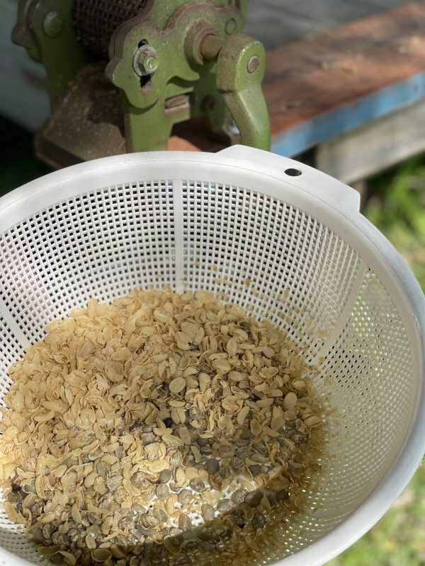 Coffee Huller-thumbmail-2