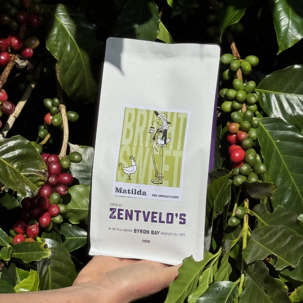 Photo of Matilda Medium Roast Coffee