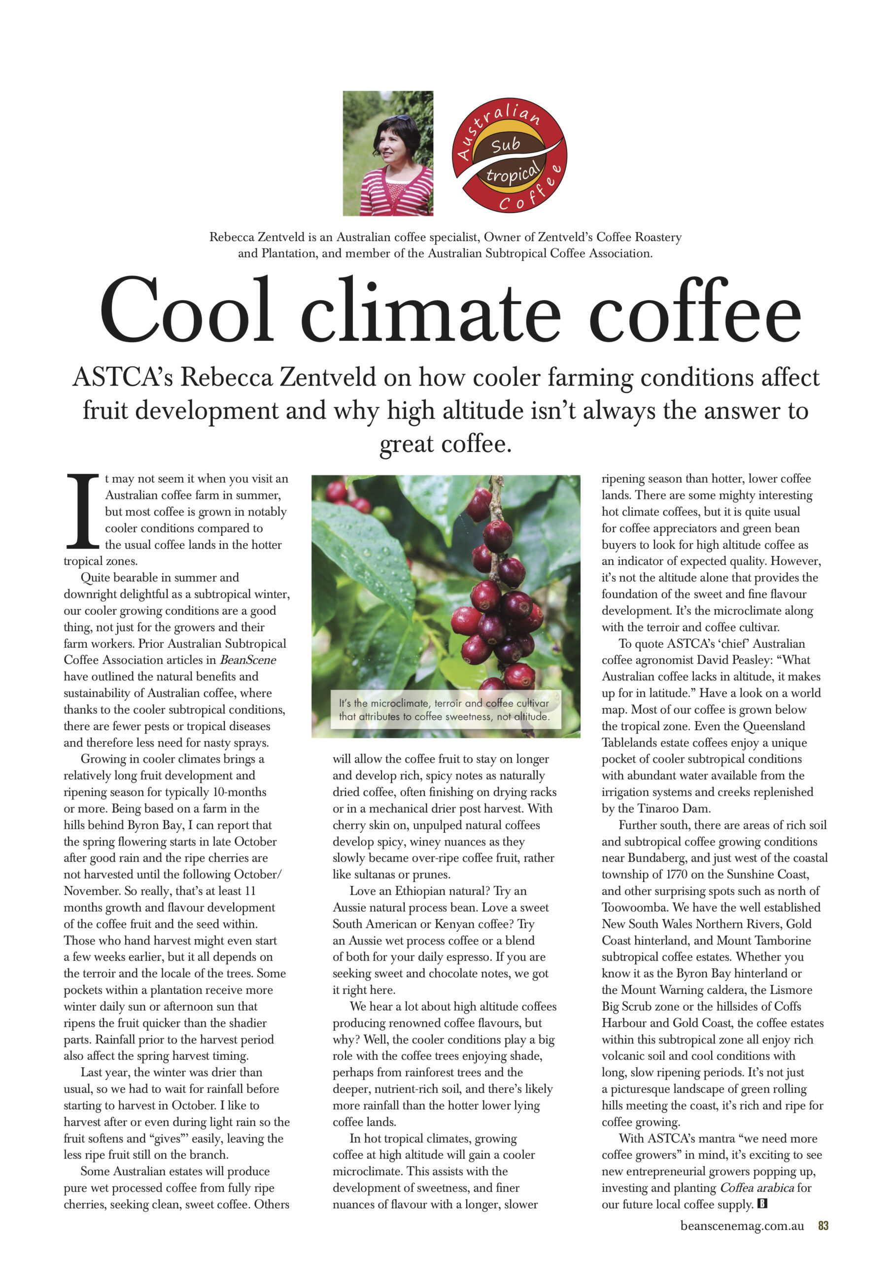 BeanScene Article Feb 2018
