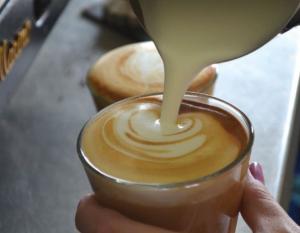 Zentvelds barista latte
