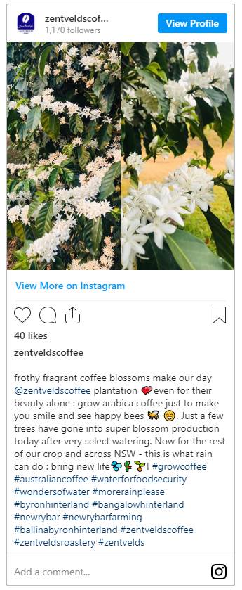 zentveld-ig-avatar