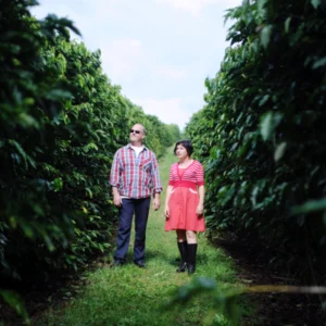 bec and john in between the coffee rows
