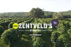 Zentveld's Australian Coffee Grown in the hills behind Byron Bay
