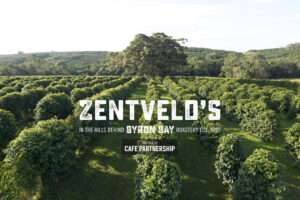 Zentveld's Australian Coffee Grown in the hills behind Byron Bay