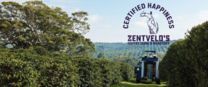 Zentveld's Australian Coffee Beans. A Byron Bay Coffee Farm. Crop To Cup Tours