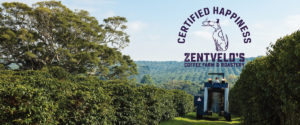 Zentveld's Australian Coffee Beans. A Byron Bay Coffee Farm. Crop To Cup Tours