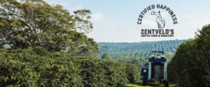 Zentveld's Australian Coffee Beans. A Byron Bay Coffee Farm. Crop To Cup Tours