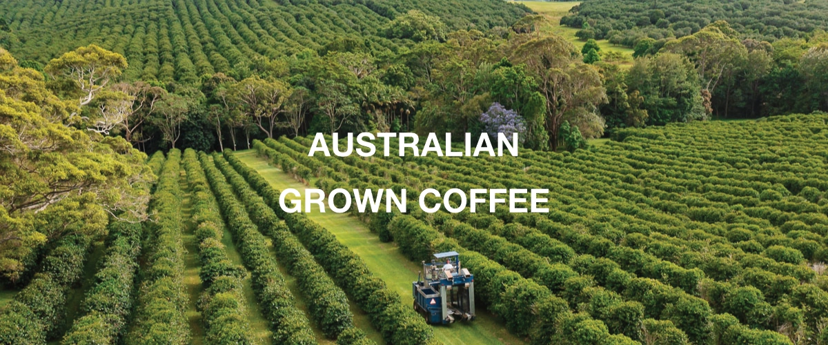 AUSTRALIAN GROWN COFFEE