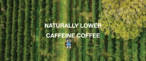 NATURALLY LOWER CAFFEINE COFFEE