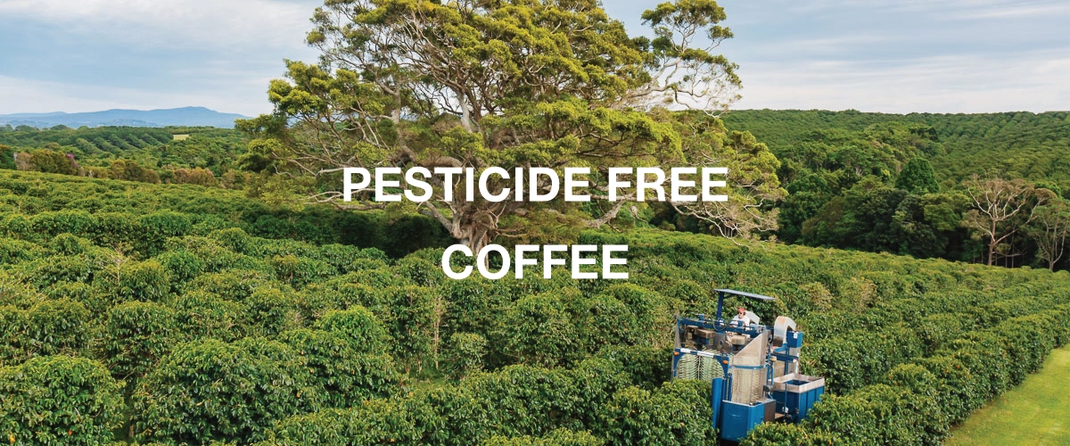 PESTICIDE FREE COFFEE
