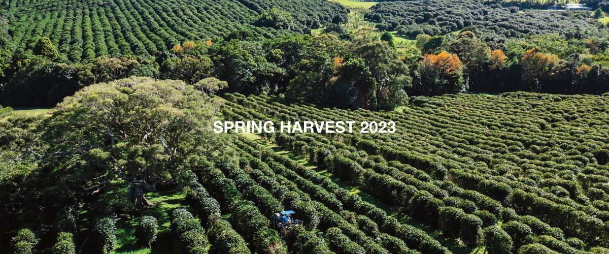 spring harvest 2023