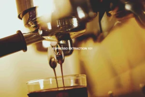 espresso extraction 101
